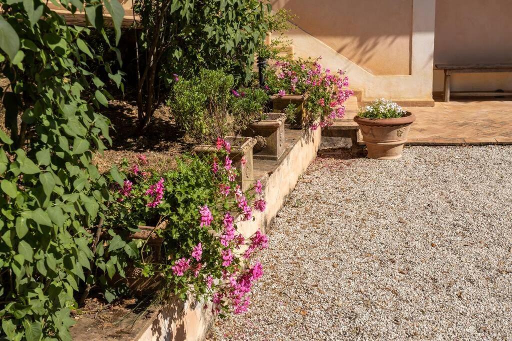 Apartment In Nature,10Min From City Perugia Zewnętrze zdjęcie