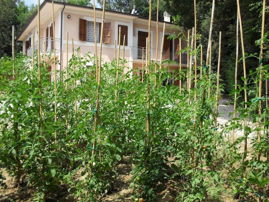 Apartment In Nature,10Min From City Perugia Zewnętrze zdjęcie